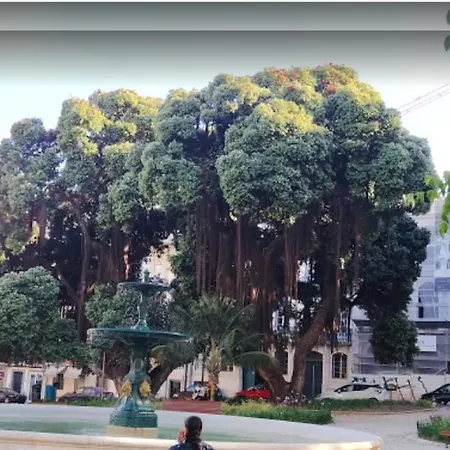 Apartament Alegramente *